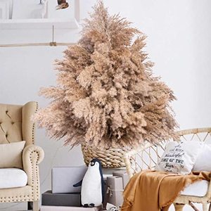 lot 13392 image: HUMINBO Dried Flowers Pampas Grass Decor Fluffy Pompas Floral 100 Stems Small Pompous Bulk Natural Pompus Grasses Short