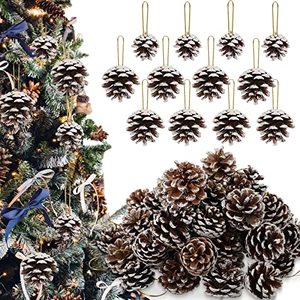 lot 13451 image: 60 Pieces Pine Cones for Christmas Tree Christmas Pine Cones Ornaments Frosted Pine Cones Decorations White Mini Pine Cones Xmas Pinecones with String Pendant Crafts for Winter Farmhouse Party