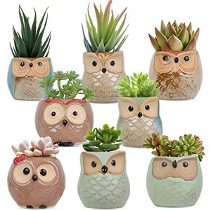 lot 14064 image: Whonline Owl Succulent Pots, 8pcs, 2.5 Inches, Ceramic Succulent Plant Pot, Cactus Plant Pot, Flower Pot Container Planter, Drainage Hole Home Office Desk Garden Gift