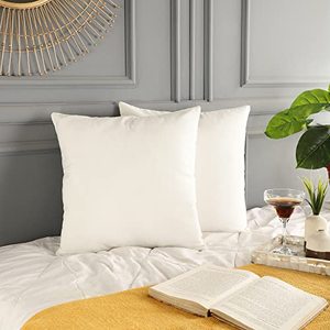 lot 14398 image: Rely Throw Pillow Covers (Without Pillows) Set of 2  Superior Cotton Duck Fabric  18x18  Decorative, Soft, Comfortable, and Durable  Perfect Pillowcases for Home Decor, Couch, Bed, Sofa