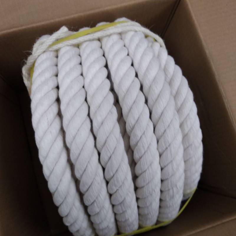 Natural Cotton Rope 1 Inch x 50 Feet, 4-Strand Twisted Cotton Rope, Natural  Thick White Rope, Soft Rope Cord, Craft Rope for Sports, Decoration, Pet