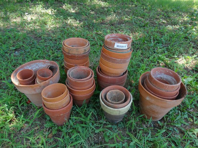 lot 249 image: Lot of flower pots