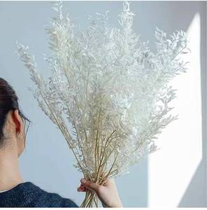 lot 13649 image: 23.6 Tall White Eucalyptus Italian Ruscus Bulk - 10 Stem Large Natural Fresh Preserved Bleached Ruscus Plant Leaves, Dried Real Eucalyptus Bunch for Boho Weddings Home Vase Decor, Dried Flower