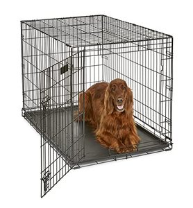 lot 86000176 image: MidWest Homes for Pets Newly Enhanced Single & Double Door iCrate Dog Crate, Includes Leak-Proof Pan, Floor Protecting Feet, Divider Panel & New Patented Features