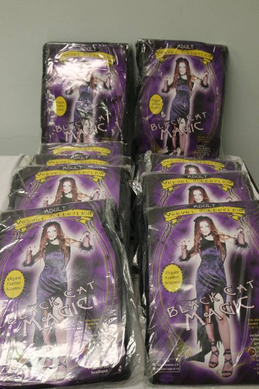 lot 6934 image: 10 Adult Black Cat Magic Halloween Costumes - NEW