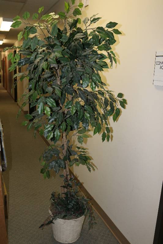 lot 6391 image: Artificial Plant in Basket