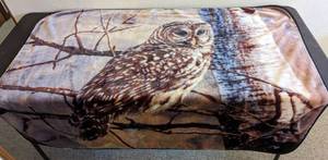 lot 619 image: Owl Blanket.
