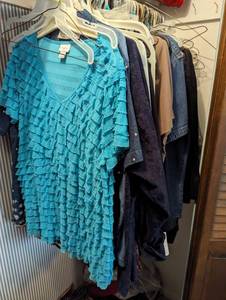 lot 719 image: Assorted Womens Clothes. L-2x.