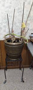 lot 778 image: Bamboo Plant in Planter and Plant Stand.