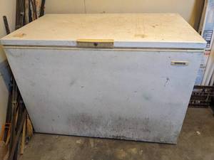 lot 1120 image: Kelvinator Chest Freezer  Works Great