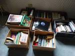 Large lot of various books