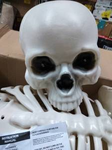 lot 5747 image: Halloween 10 Skeleton, As Is