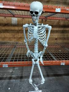 lot 5760 image: 5 Tall Halloween Skeleton