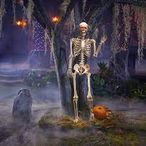 lot 2915 image: Halloween Skeleton 5Ft