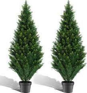 lot 2873 image: 4ft Cedar Topiary Tree 2 Pack (Cracked Pot)
