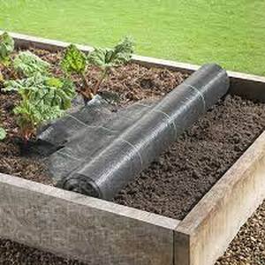 lot 3644 image: Ground Cover 4x10