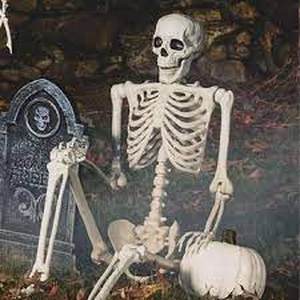 lot 3661 image: Halloween Decorative Skelton