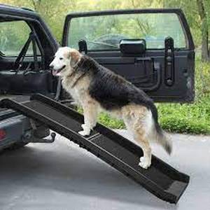 lot 5728 image: Portable Dog Ramp