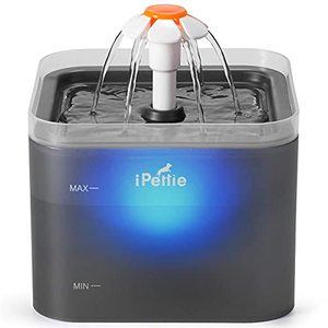 lot 1116 image: iPettie Neverland Cat Water Fountain with LED Light, 67oz2.1L, Ultra Quiet Cat Drinking Fountain with Filter, Automatic Pet Water Fountain for Cats and Small Dogs, Grey Retail $29.99