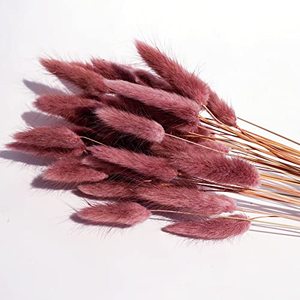 lot 1148 image: Caiyun Manor 100 Pcs Natural Rabbit Tail Grass Dried , for Home,Wedding��Party Themed Decorations.16in (Retro Coffee) Retail $21.28