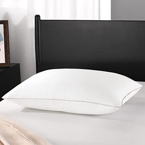 lot 1290 image: Premium Down Feather Pillow Luxury Hotel Collection Silver Piped Edges, Queen Size (20x28, Pack of 1) Retail $18.24