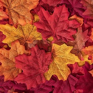 lot 1331 image: Bassion 1000 Pcs Fake Fall Leaves, Artificial Maple Leaves for Fall Decor Thanksgiving Decorations, Retail $9.99