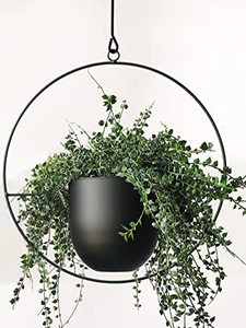 lot 24087 image: ABETREE Hanging Planter for Indoor Plants Metal Mid Century Minimalist Wall and Ceiling Hanging Plant Pot Holder for Home Dcor, Black