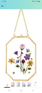 lot 24337 image: REDHUGO 4x6 Inches Pressed Flower Frames, Glass Floating Frames for Display Dried Plant Set Of 6