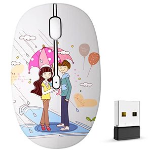 lot 24629 image: FMOUSE Cute Wireless Mouse, Mini Silent Dual Mode Bluetooth Mice for Laptop, iPad, Comupter, Tablet with USB Receiver(Romantic Lovers)