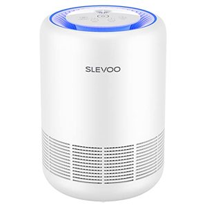 lot 24696 image: Air Purifiers for Bedroom Pets Smokers in Home, H13 True HEPA Filter Air Cleaner with Fragrance Sponge, Night Light, Timer, Effectively Clean 99.97% Smoke, Dust, Pollen, Pet Dander, Odors, BS-01 White