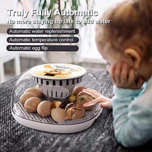 lot 24963 image: 12 Egg Incubator Hatching Eggs, Automatic Incubator with Automatic Temperature Control, Automatic Egg Turner, Automatic Add Water for Hatching Chickens