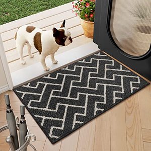lot 25077 image: hicorfe Indoor Doormat,Front Back Door Mat Rubber Backing Non Slip Door Mats,20x31.5 Low-Profile Absorbent Resist Dirt Entryway Doormat Inside Floor Mats for Entrance Washable(Black)