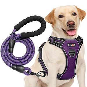 lot 25573 image: tobeDRI No Pull Dog Harness Adjustable Reflective Oxford Easy Control Medium Large Dog Harness with A Free Heavy Duty 5ft Dog Leash (M (Neck 14.5-20.5, Chest 22-28), Purple HarnessLeash)