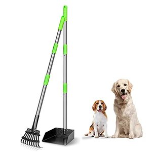 lot 25574 image: TOOGE Pooper Scooper, Dog Pooper Scooper Long Handle Stainless Metal Tray and Rake for Large Medium Small Dogs Heavy Duty (Green) (A-Standard)