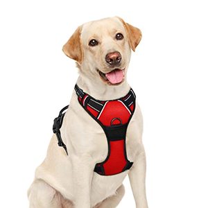 lot 25582 image: BARKBAY No Pull Dog Harness Large Step in Reflective Dog Harness with Front Clip and Easy Control Handle for Walking Training Running(Red,L)