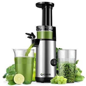 lot 25599 image: Compact GDOR Masticating Juicer with Powerful 60NM DC Motor, Low Noise, Space-Saving Cold Press Juice Exrtractor Machines, Easy to Clean Slow Juicer, Brush Included, 20 Oz Juice Cup, BPA-Free, Sliver