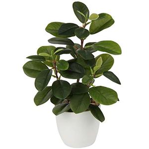lot 25619 image: Briful Artificial Plants Mini Camellia Potted Fake Plants Small Faux Plastic Plants Desk Plant Artificial Flowers with Vase for Home Office Desk Kitchen Garden Indoor Decor