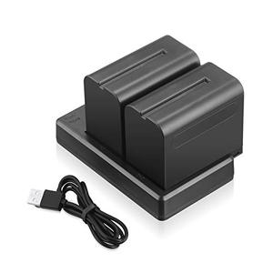 lot 25760 image: 2-Pack 8800mAh Li-ion NP-F970 Replacement Batteries and Dual USB Charger for Sony NP-F550 570 750 770 970 960 975, Sony Handycams, Pixel 60C Ring Light and K80 Video Light