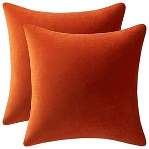 lot 25898 image: DEZENE Fall Couch Pillow Cases 20x20 Burnt Orange 2 Pack Cozy Soft Velvet Square Throw Pillow Covers for Farmhouse Home Decor