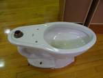 New In Open Box Toilet Bowl