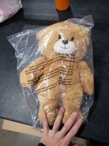 lot 2665 image: Radio Flyer Teddy Bear