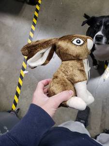 lot 2737 image: goDog Wildlife Rabbit Squeaky Plush Dog Toy, Chew Guard Technology - Brown, Large