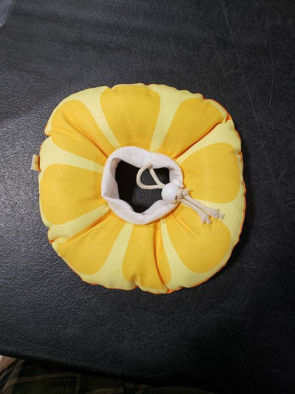 lot 1534 image: Small C Collar For Pets