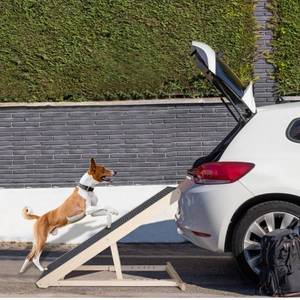lot 14153 image: KOOPRO Adjustable Dog Ramp Pet Ramp for Large Small Dogs & Cats Folding Portable Wooden with Non-Slip Carpet, 40 Long and 6 Levels Height Adjustable from 12 to 24 Up to 200 Lbs for Bed, Car, Couch