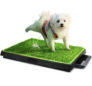 lot 14183 image: Hompet Dog Toilet Indoor Puppy Training Pad, Dog Potty Pet Training Grass Mat, Removable Waste Tray for Easier Clean Up, Artificial Turf, 25�20