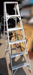 6 ft. aluminum ladder - lightweight!
