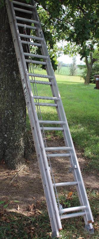 lot 2255 image: 20 ft. Extension Ladder - Cuprum - M# 385-20