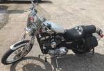2003 XL 1200C (Custom) Harley Davidson Motorcycle (LOW MILES 2359) 100 YEAR ANNIVERSARY 1903-2003 (VIDEO)