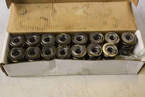 lot 2539 image: LSM Valve Springs