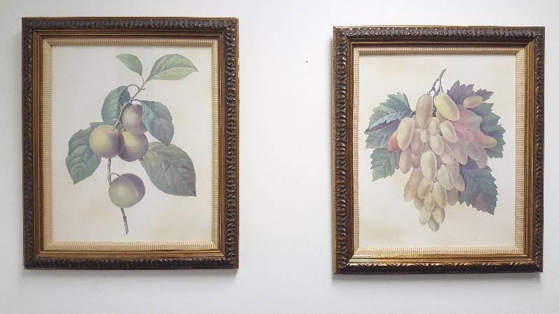 lot 1017 image: Guild Master Set of 2 Lithographs Study on Botanical Fruits High-Quality Framed Prints